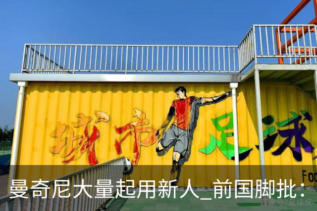 曼奇尼大量起用新人 前国脚批：进意大利队太容易了